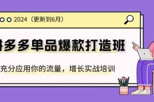 2024拼多多单品爆款打造班，充分应用你的流量，增长实战培训(更新6月)