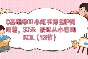 0基础学习小红书博主IP特训营【第5期】，37天教你从小白到KOL（13节）
