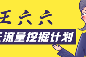 王六六30天流量挖掘计划，从零开始打造一套精准流量挖掘体系