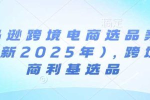 亚马逊跨境电商选品案例(更新2025年)，跨境电商利基选品