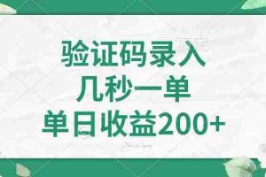 （14221期）验证码录入，几秒一单，单日收益200+