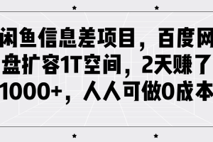 闲鱼信息差项目，百度网盘扩容1T空间，2天赚了1000+，人人可做0成本