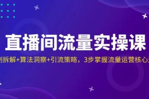 （14122期）直播间流量实操课：机制拆解+算法洞察+引流策略，3步掌握流量运营核心逻辑