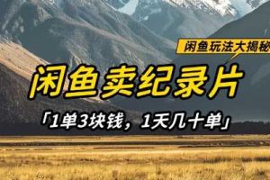 闲鱼卖纪录片1单3块钱，1天几十单，项目稳定有潜力