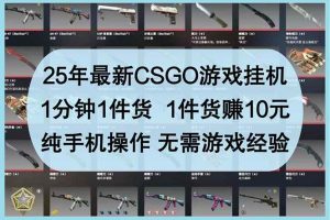 （14439期）25年最新CSGO游戏挂机，1分钟1件货，1件货赚10元 纯手机操作 无需游戏经验