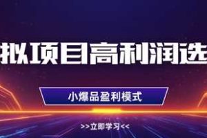 虚拟项目高利润选品方法，做好单店利润1W+，可多店倍增利润