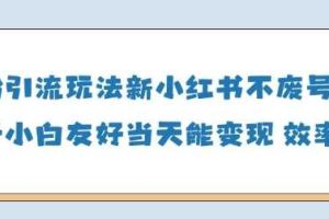 男粉引流玩法(新)，玩法友好做的好当天就能变现