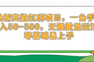 （14551期）最新实操红利项目，一台手机日入50-500，无限批量玩法，零基础易上手