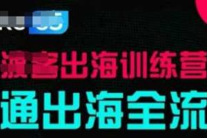 出海训练营基础课，​跑通出海全流程，实战案例拆解