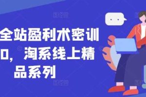 无界全站盈利术密训22.0，淘系线上精品系列