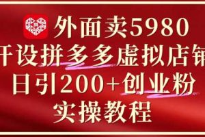 外面卖5980开设拼多多虚拟店铺：单日引流200+创业付费粉实战教程