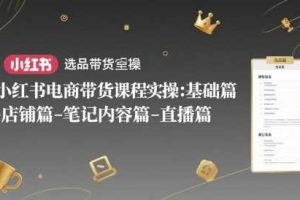 小红书电商带货课程实操：基础篇-选品篇-店铺篇-笔记内容篇-直播篇