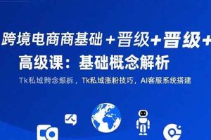 （15496期）跨境电商基础+晋级+高级课：基础概念解析,Tk私域涨粉技巧,AI客服系统搭建