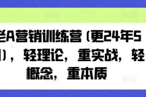 老A营销训练营(更25年7月)，轻理论，重实战，轻概念，重本质