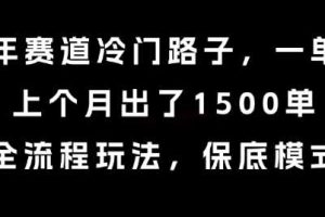中老年赛道冷门路子，一单788，上个月出了1500单，全流程玩法，保底模式【揭秘】