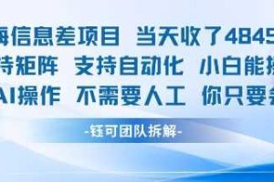 蓝海信息差项目当天收米1k+ 支持矩阵支持自动化小白能操作全程AI操作不需要人工你只要会电脑