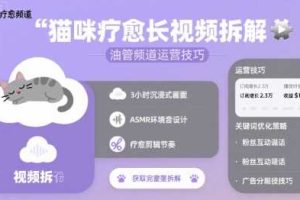 猫咪疗愈长视频拆解 &油管频道运营技巧