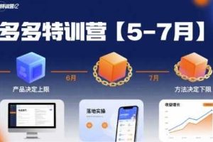多多特训营【5-7月】产品决定上限，方法决定下限，各种玩法技巧落地实操