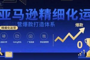 亚马逊精细化运营爆款打造体系，视频课+全套资料文档