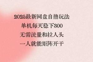 2025最新网盘自撸玩法，单机每天稳下3张，无需流量和拉人头，一个人就可轻松矩阵，全网独一份【揭秘】