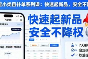 淘宝小类目补单系列课，快速起新品，安全不降权