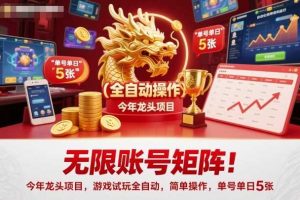 无限账号矩阵！今年龙头项目，游戏试玩全自动，简单操作，单号单日5张【揭秘】