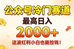 公众号冷门赛道，最高日入1k+，这波红利小白也能捡钱！