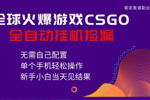 火爆游戏CSGO全自动捡漏，独家最新玩法，单个手机可操作，新手小白日入500+