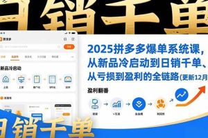 (16894期)2025拼多多爆单系统课,从新品冷启动到日销千单、从亏损到盈利的全链路(更新12月)
