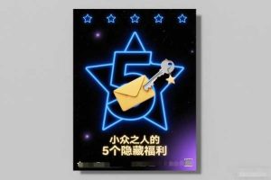 付费文章:小众之人的5个隐藏福利