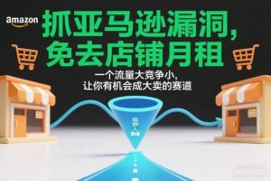 抓亚马逊漏洞,免去店铺月租,一个流量大竞争小,让你有机会成大卖的赛道